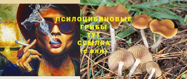 синтетический гашиш Навашино