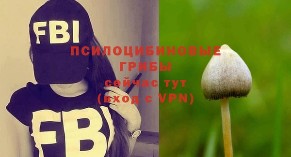 соль ск Володарск