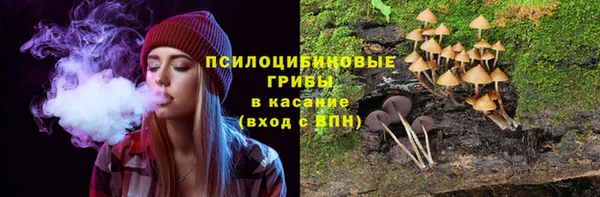mix Надым