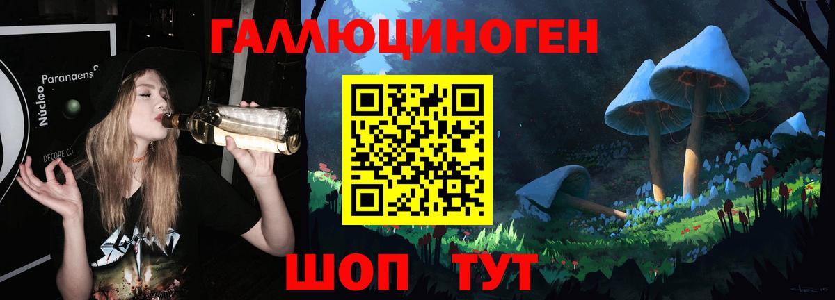 даркнет сайт  Вход с VPN  Ковров  Псилоцибиновые грибы мухоморы 