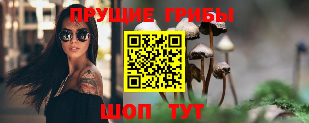 Псилоцибиновые грибы мухоморы Ковров